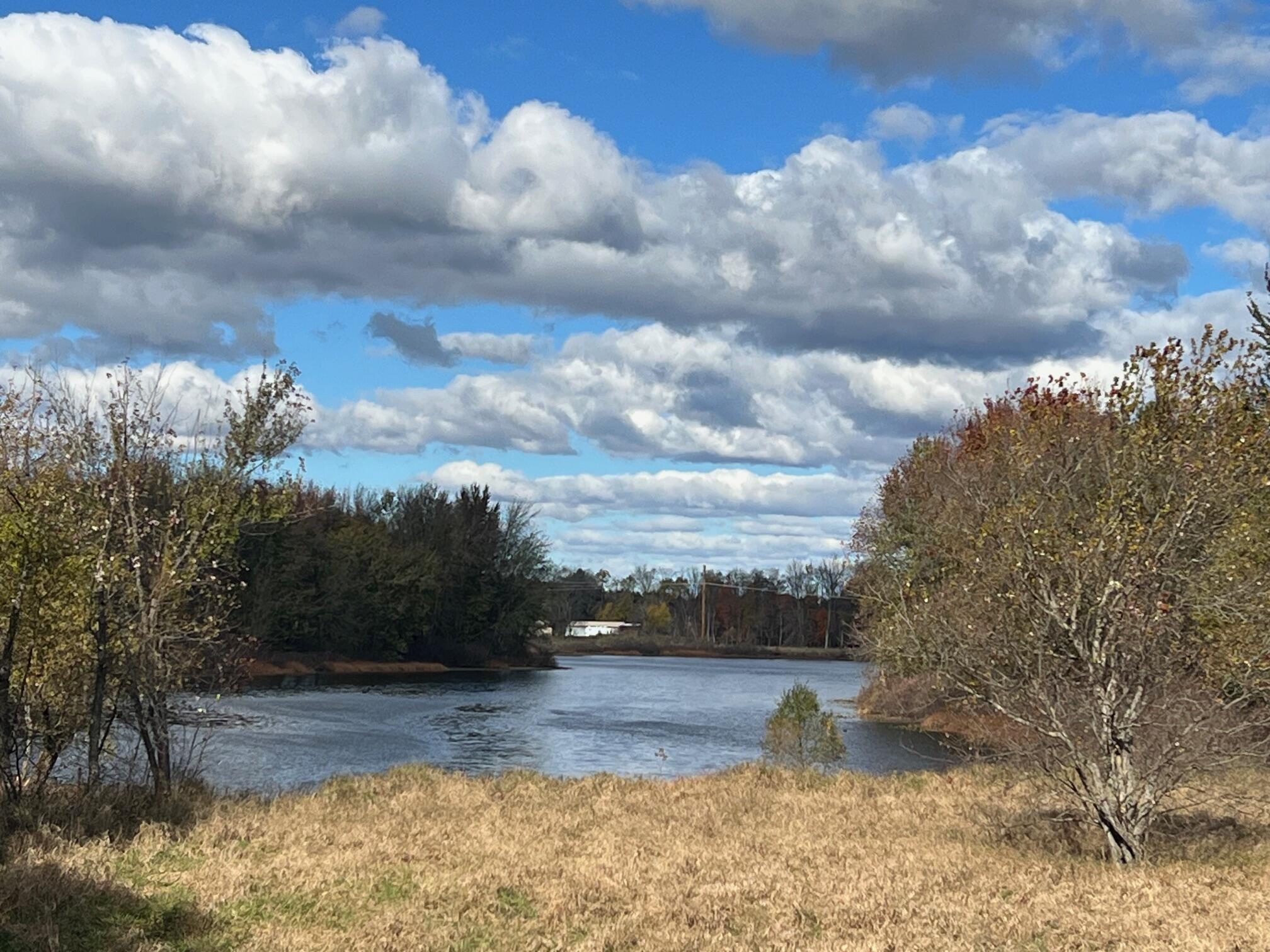 3344 East Hansen Road Custer, MI 49405 - Photo 34 of 46 IMG_3620