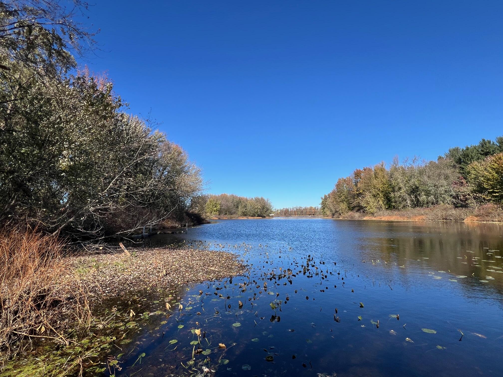 3344 East Hansen Road Custer, MI 49405 - Photo 42 of 46 IMG_3602