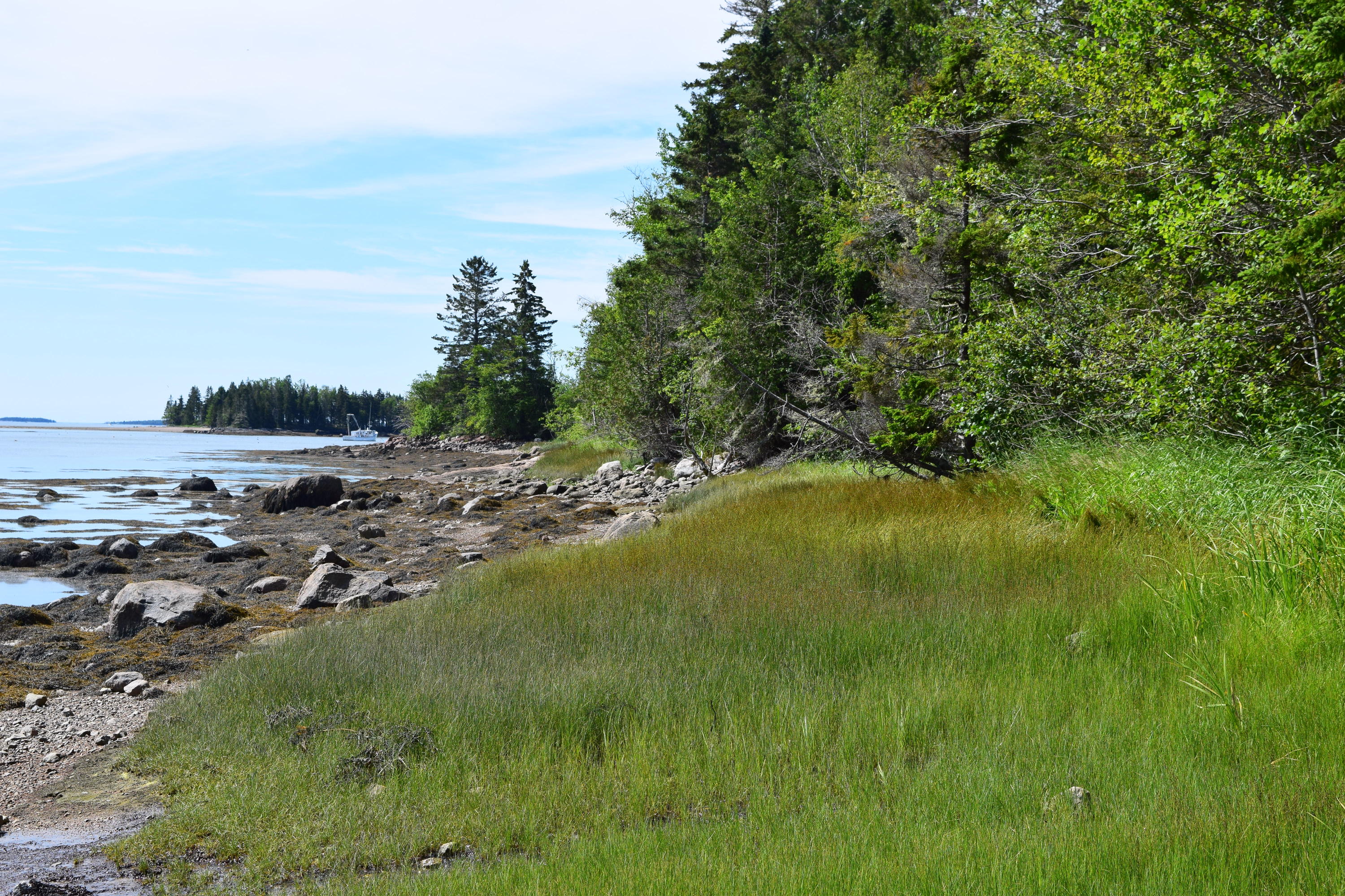343 Gouldsboro Point Road Gouldsboro, ME 04607 - Photo 14 of 20 DSC_0014