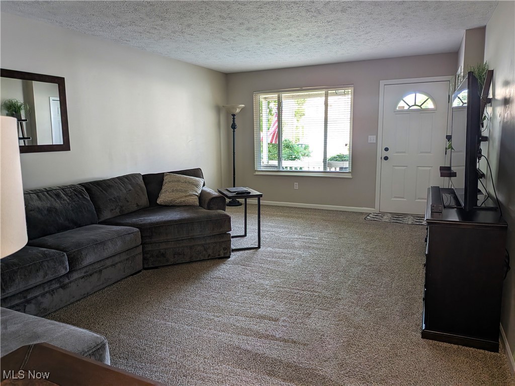 1127 Mayfield Ridge Road Cleveland, OH 44124 - Photo 14 of 47 Living area featuring carpet flooring and custom blinds