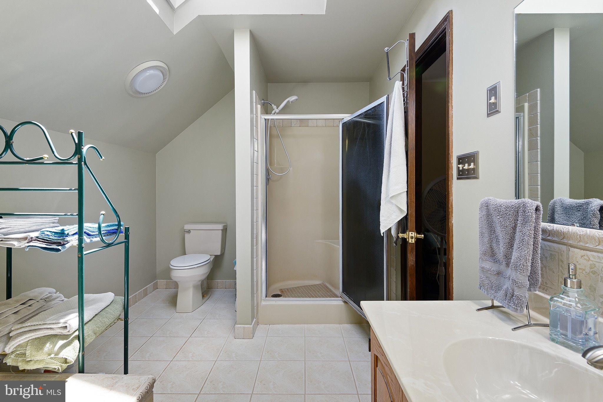 135 Blacksnake Road Elkton, MD 21921 - Photo 37 of 57 Walk in shower