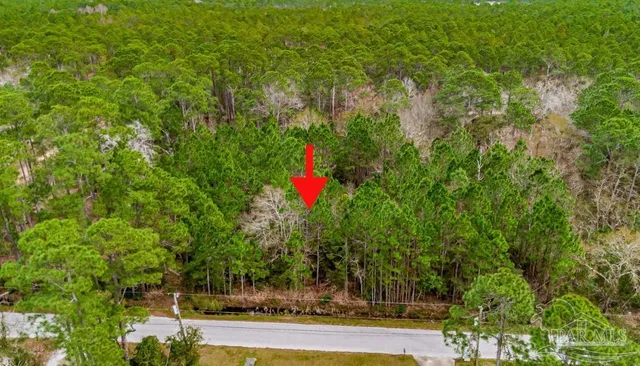 a view of a yard with an outdoor space