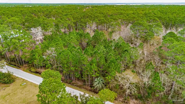 a view of yard with green space