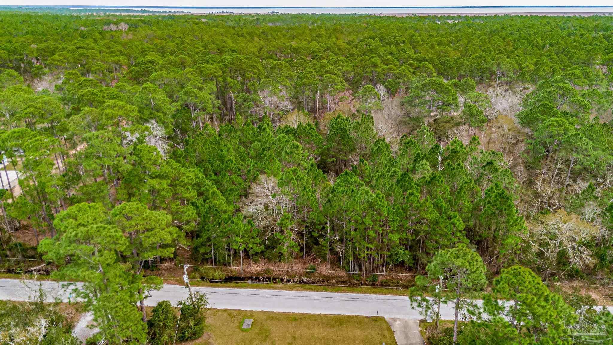 864 Dolphin Road Milton, FL 32583 - Photo 7 of 21