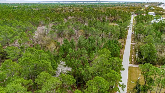 view of a bunch of flowers in a garden
