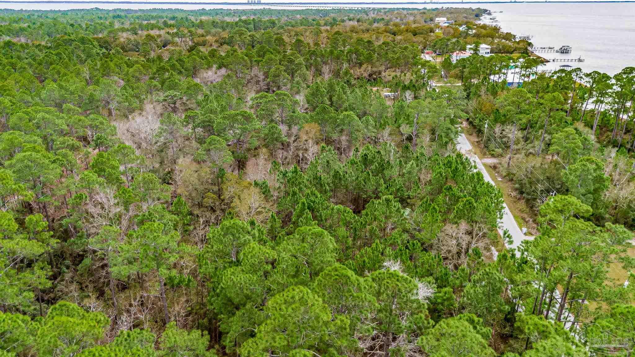 864 Dolphin Road Milton, FL 32583 - Photo 10 of 21 a view of a lush green forest