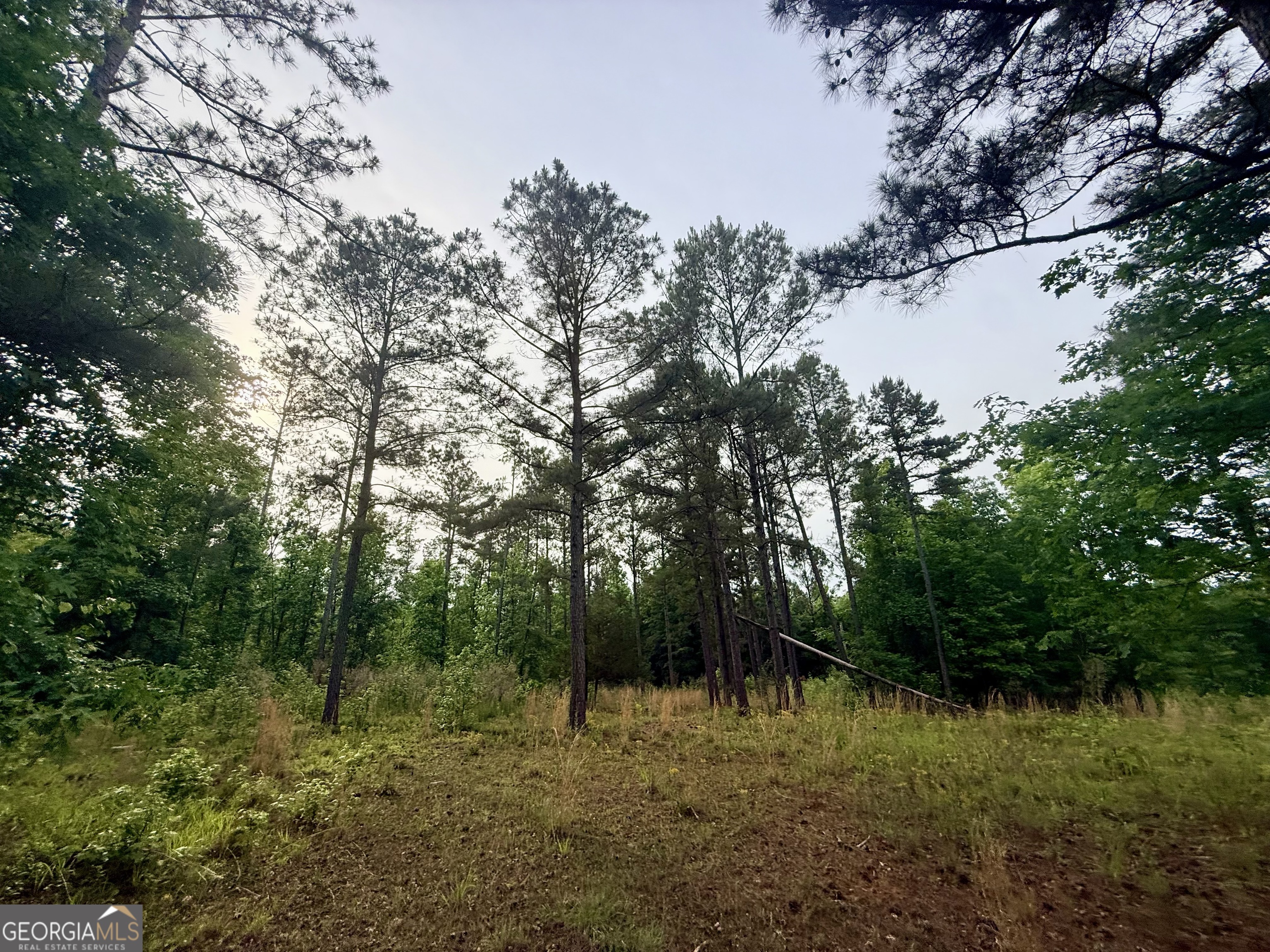 715 Fulsome Creek Road Sparta, GA 31087 - Photo 50 of 117