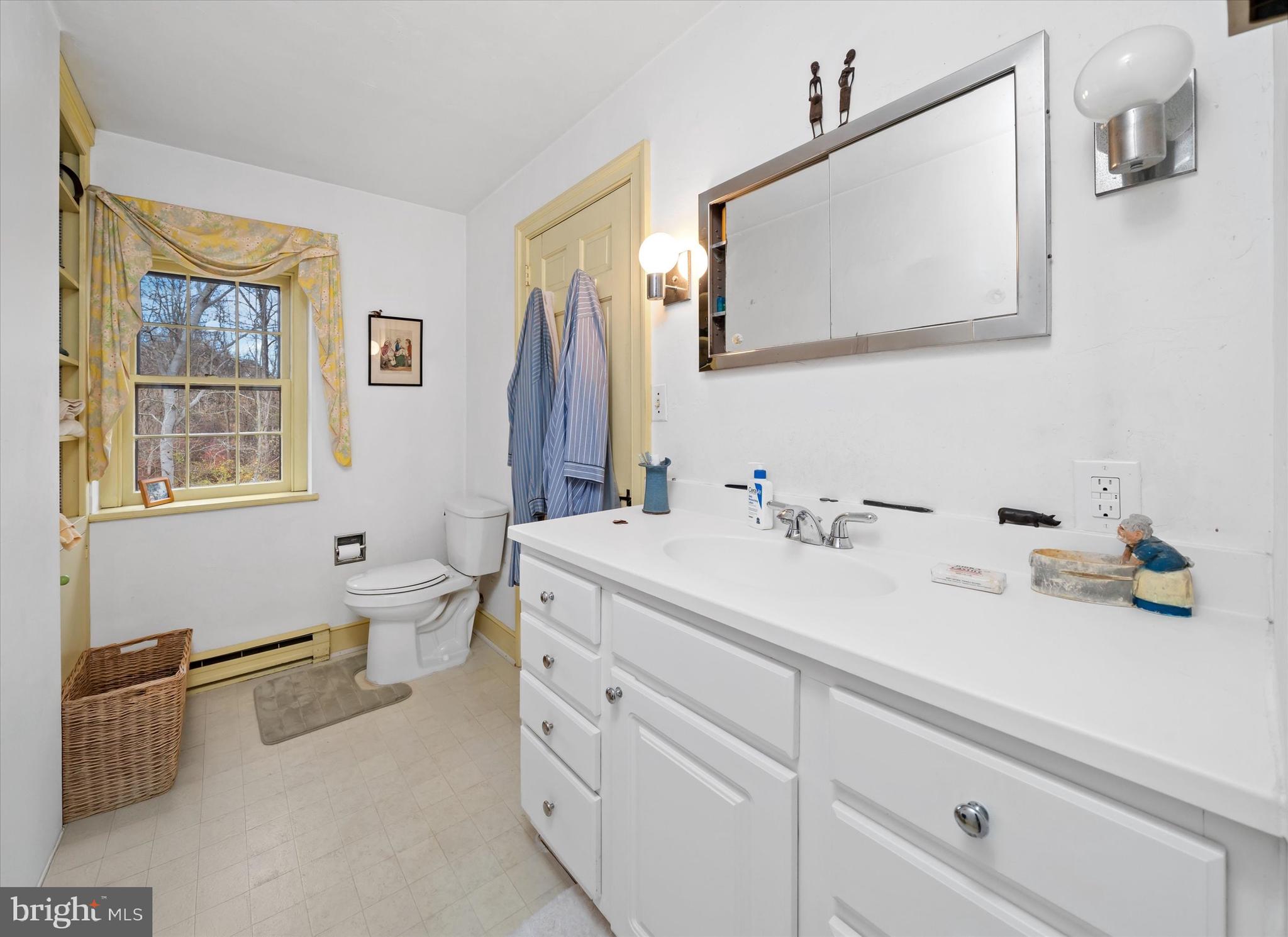 975 Brintons Bridge Road West Chester, PA 19382 - Photo 41 of 80 a bathroom with a double vanity sink mirror and toilet