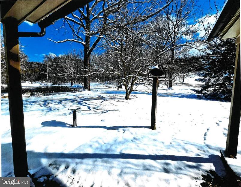 975 Brintons Bridge Road West Chester, PA 19382 - Photo 76 of 80 a view of a yard with trees
