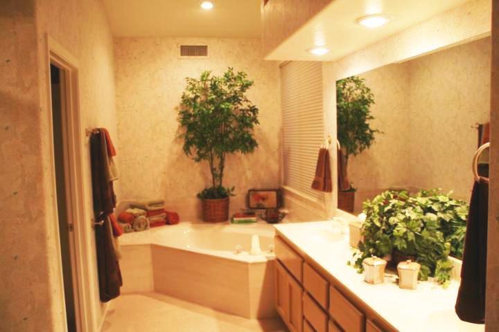 24807 North Pommel Drive Rio Verde, AZ 85263 - Photo 10 of 12 Master Bathroom