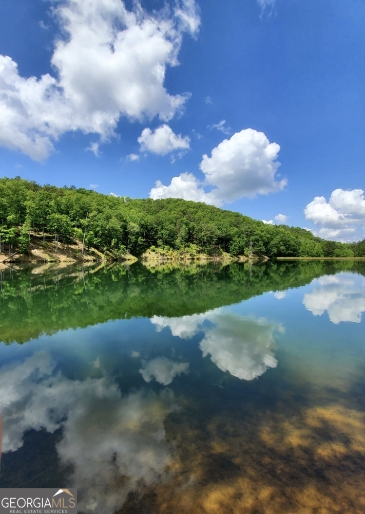 171 B Elk Trail Talking Rock, GA 30175 - Photo 3 of 10 a view of a lake with a big yard