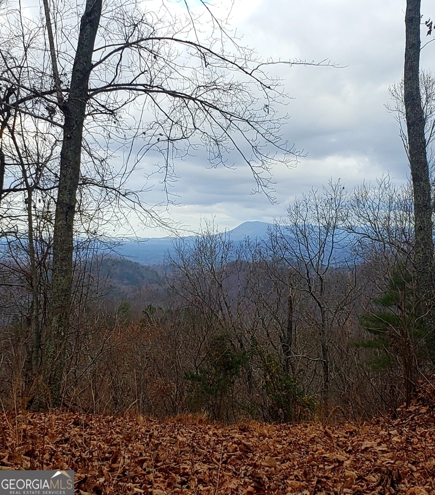 171 B Elk Trail Talking Rock, GA 30175 - Photo 4 of 10 a backyard of a house with lots of green space