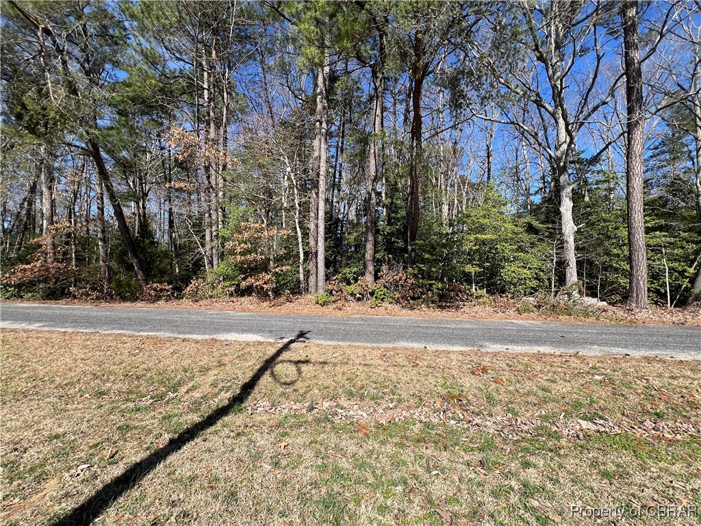 Tbd Cove Colony Road Lancaster, VA 22503 - Photo 3 of 4