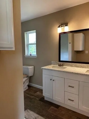 a bathroom with a sink a toilet and mirror
