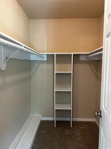 a view of an empty walk in closet