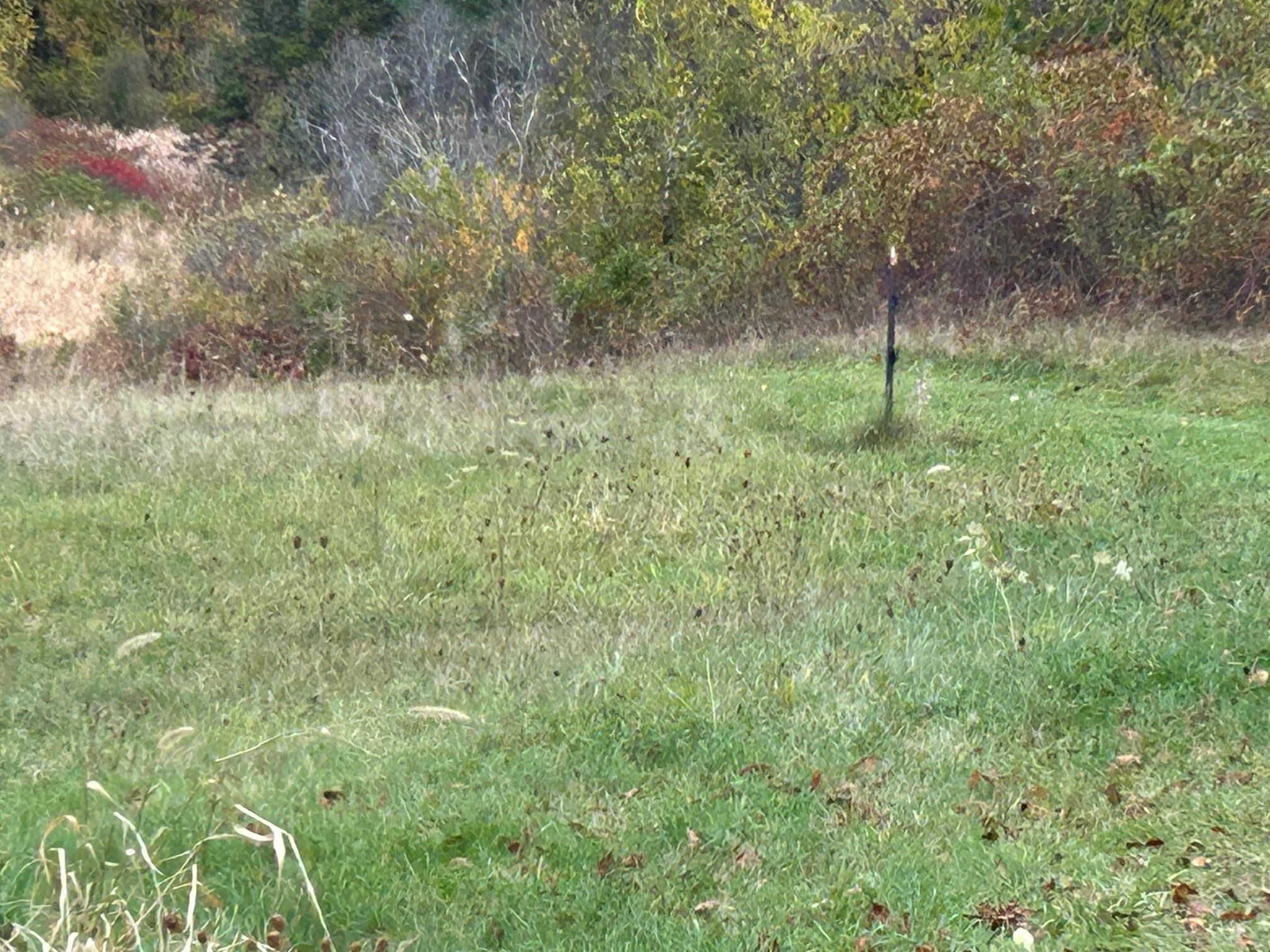 182 Drinkwater Road Kensington, NH 03833 - Photo 2 of 22