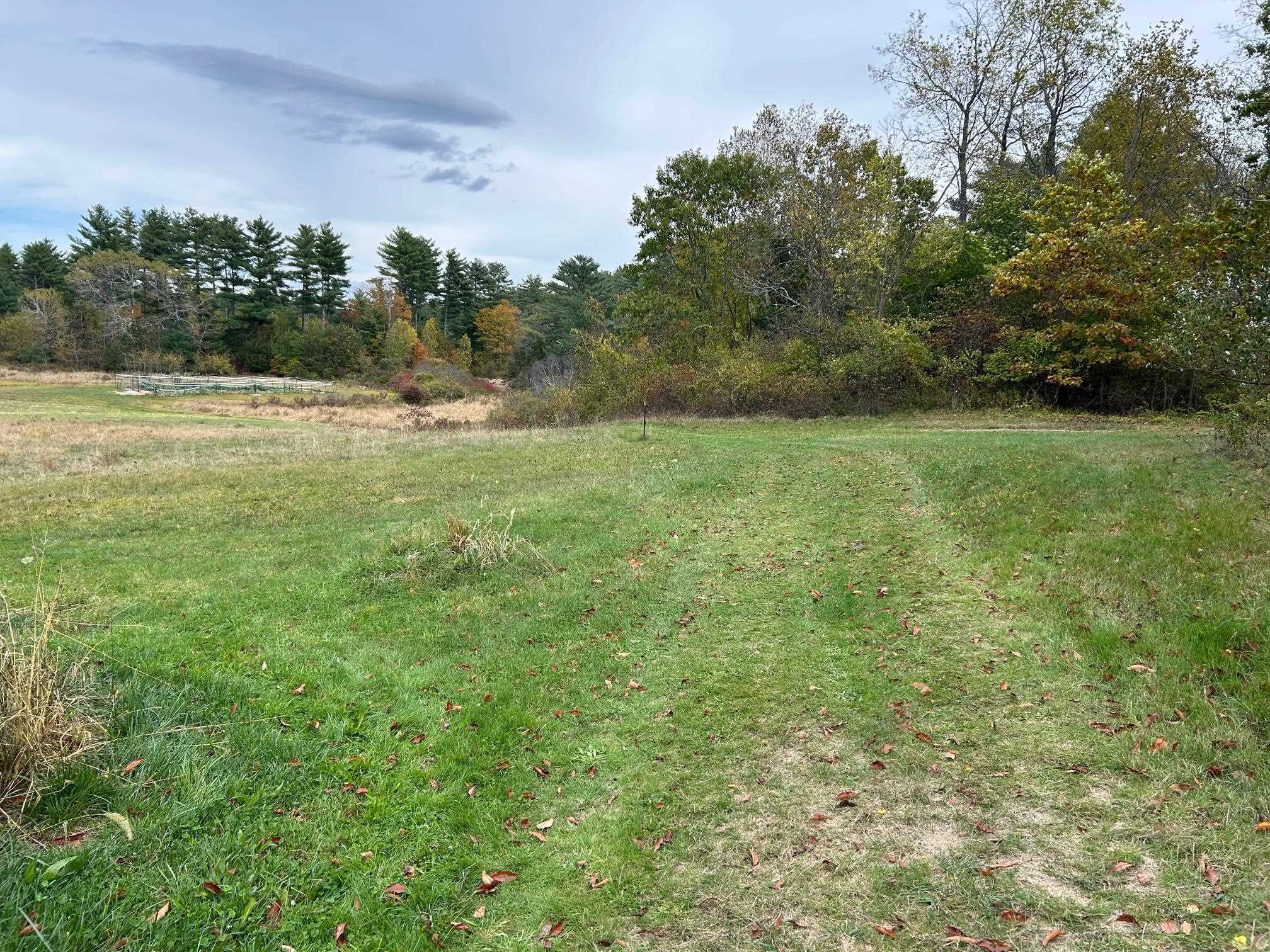 182 Drinkwater Road Kensington, NH 03833 - Photo 3 of 22