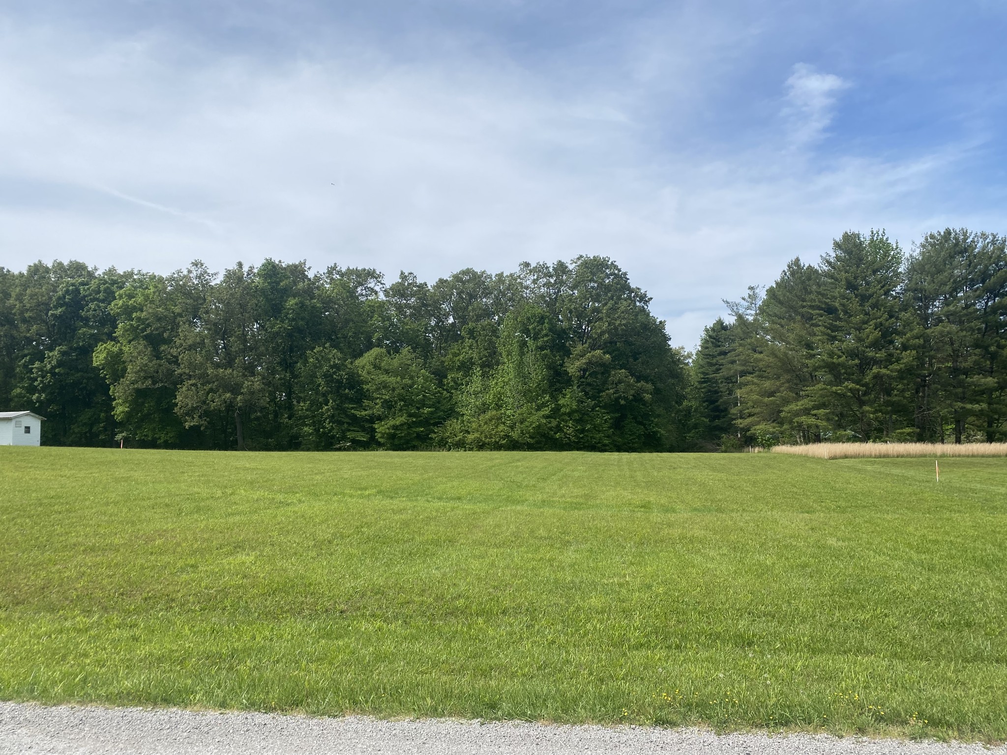 0 Taylor Road Manchester, TN 37355 - Photo 1 of 8 a view of field with trees in the background