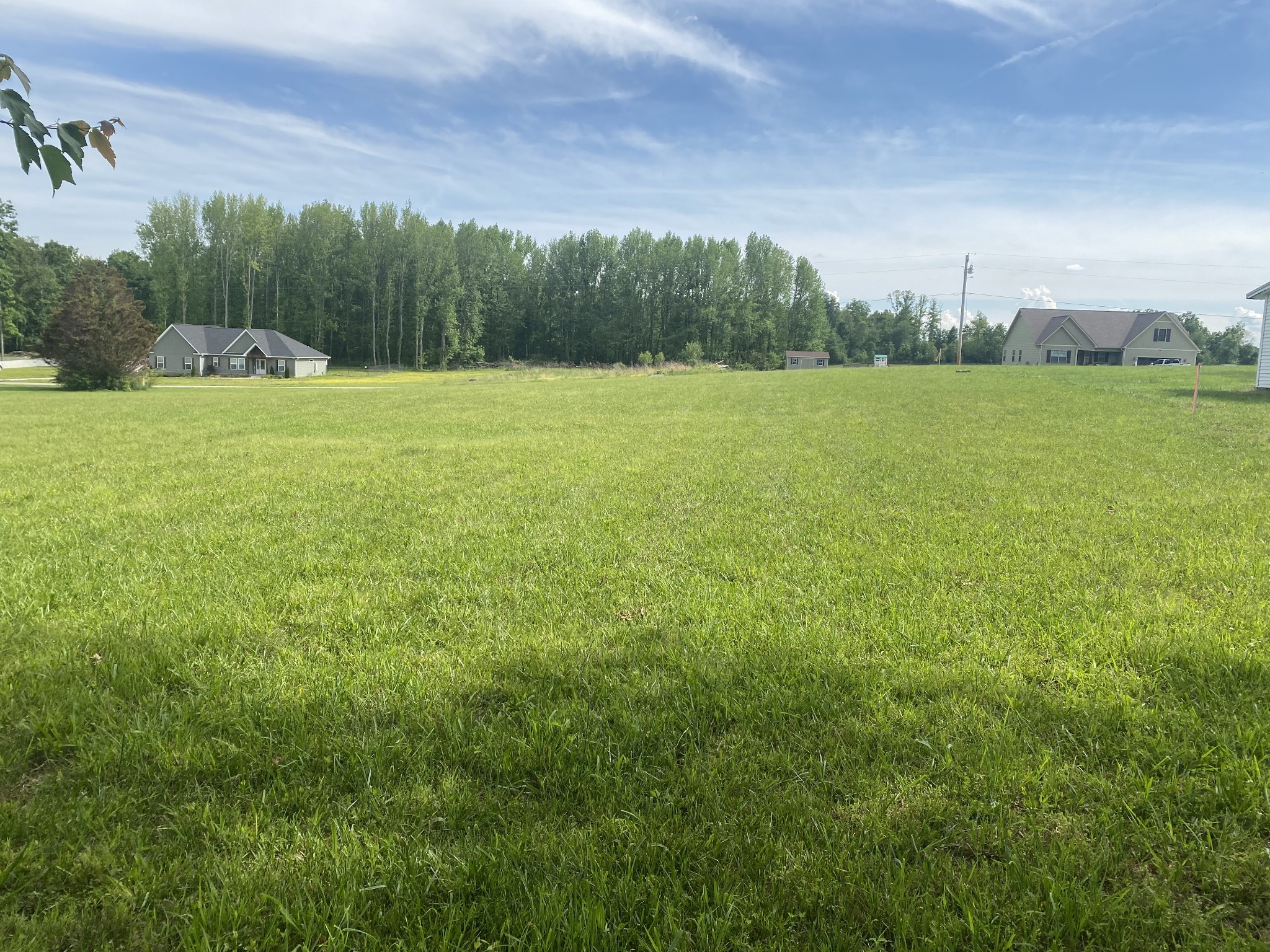 0 Taylor Road Manchester, TN 37355 - Photo 4 of 8 a view of a green field with trees in the background