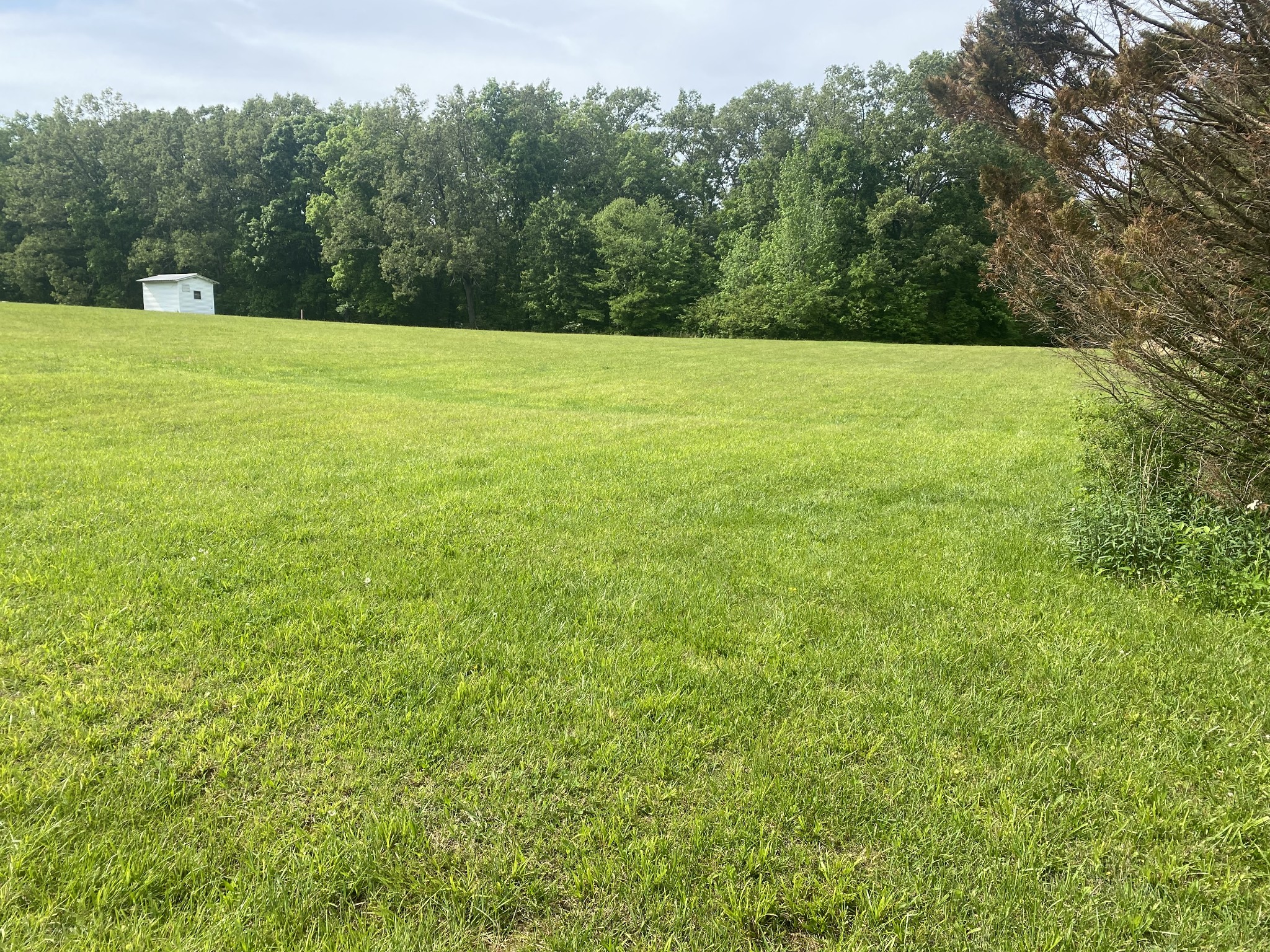 0 Taylor Road Manchester, TN 37355 - Photo 6 of 8 a view of a field with a trees in the background