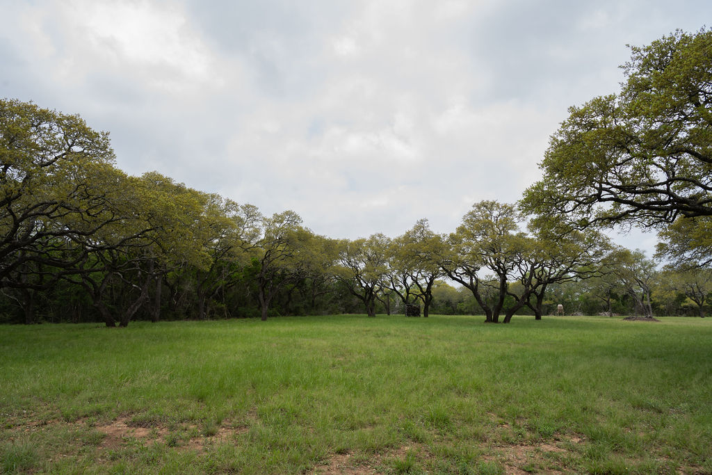 426 Mill Run New Braunfels, TX 78132 - Photo 34 of 40 a view of garden with trees