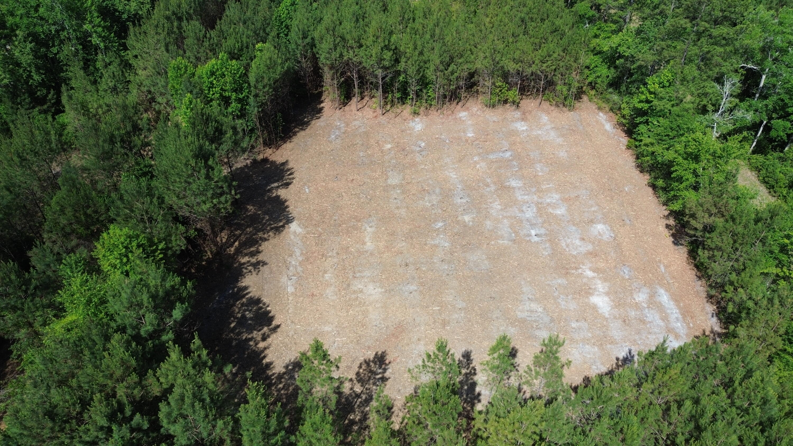 2 Highway 311 Cross, SC 29436 - Photo 1 of 12 DJI_0381
