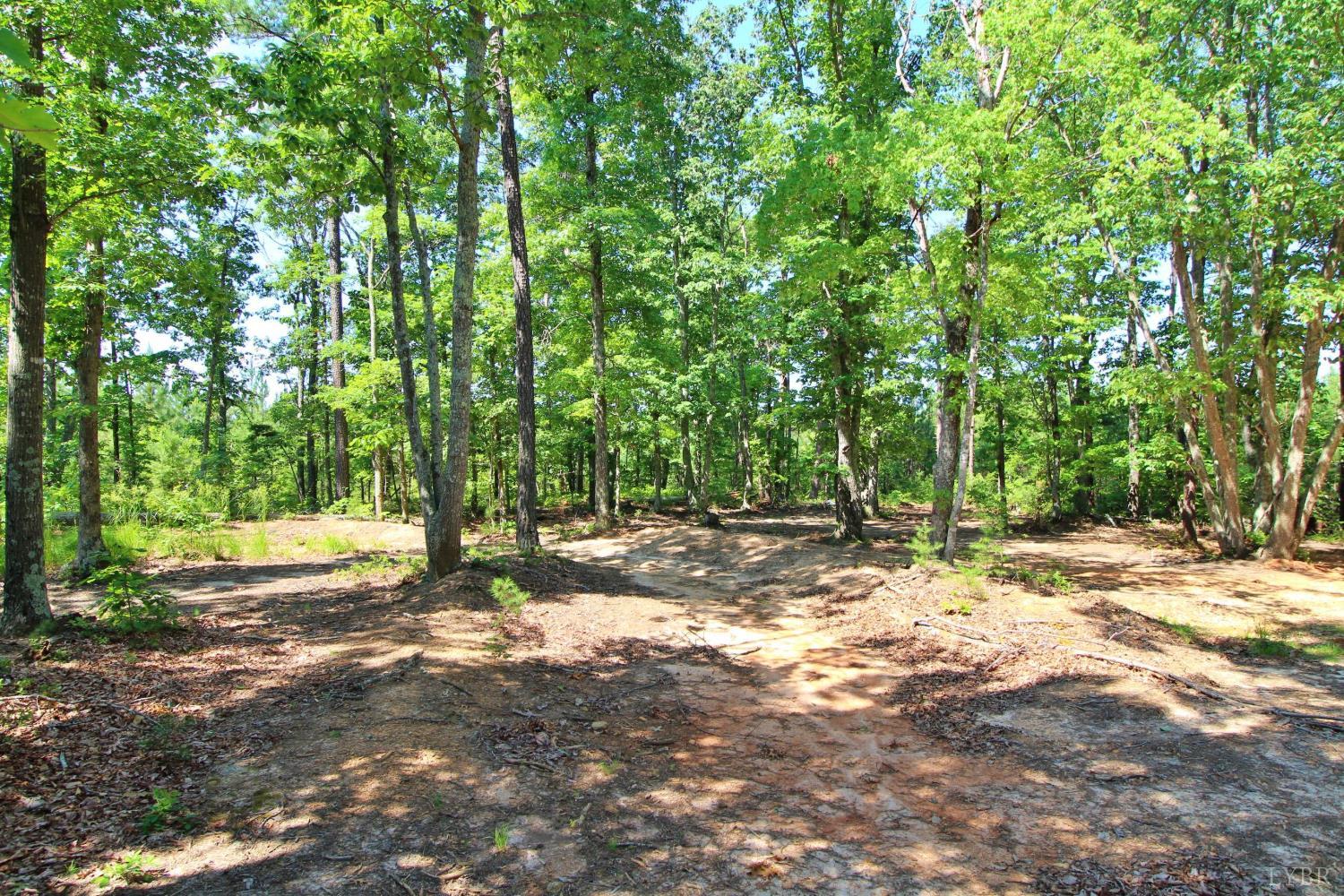 364 Community Road Dillwyn, VA 23936 - Photo 7 of 13