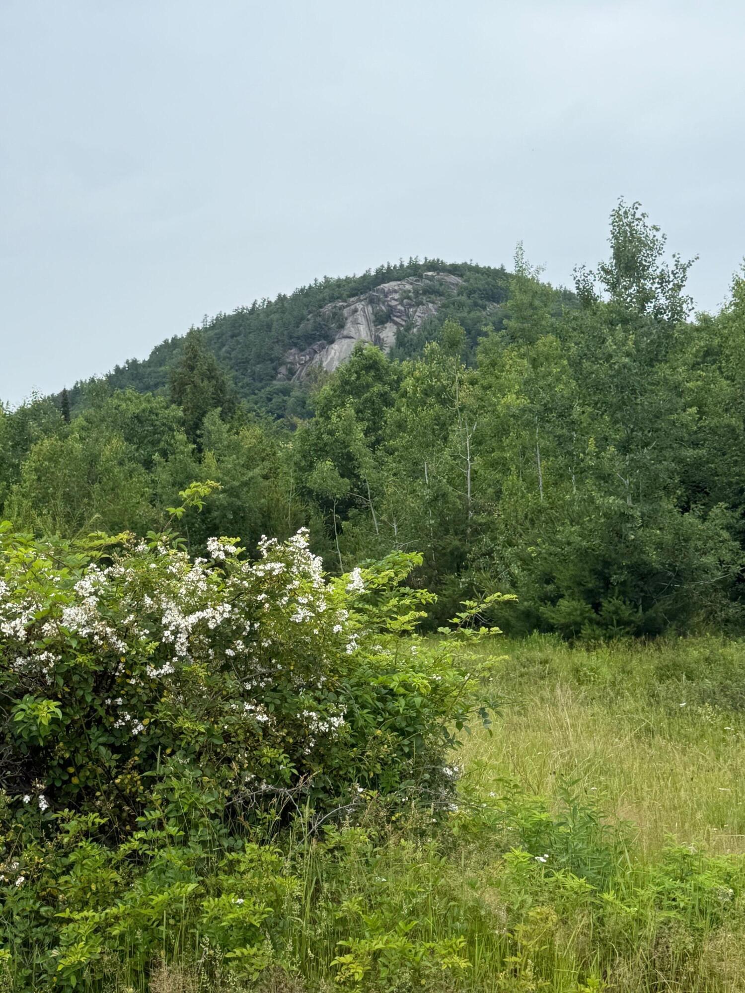 0 Hawk Meadow Road Waterford, ME 04088 - Photo 3 of 4 image0