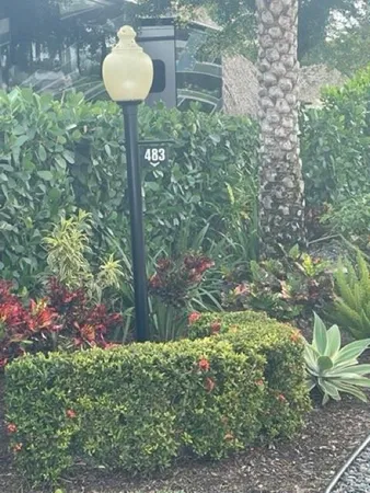 a view of a yard with plants