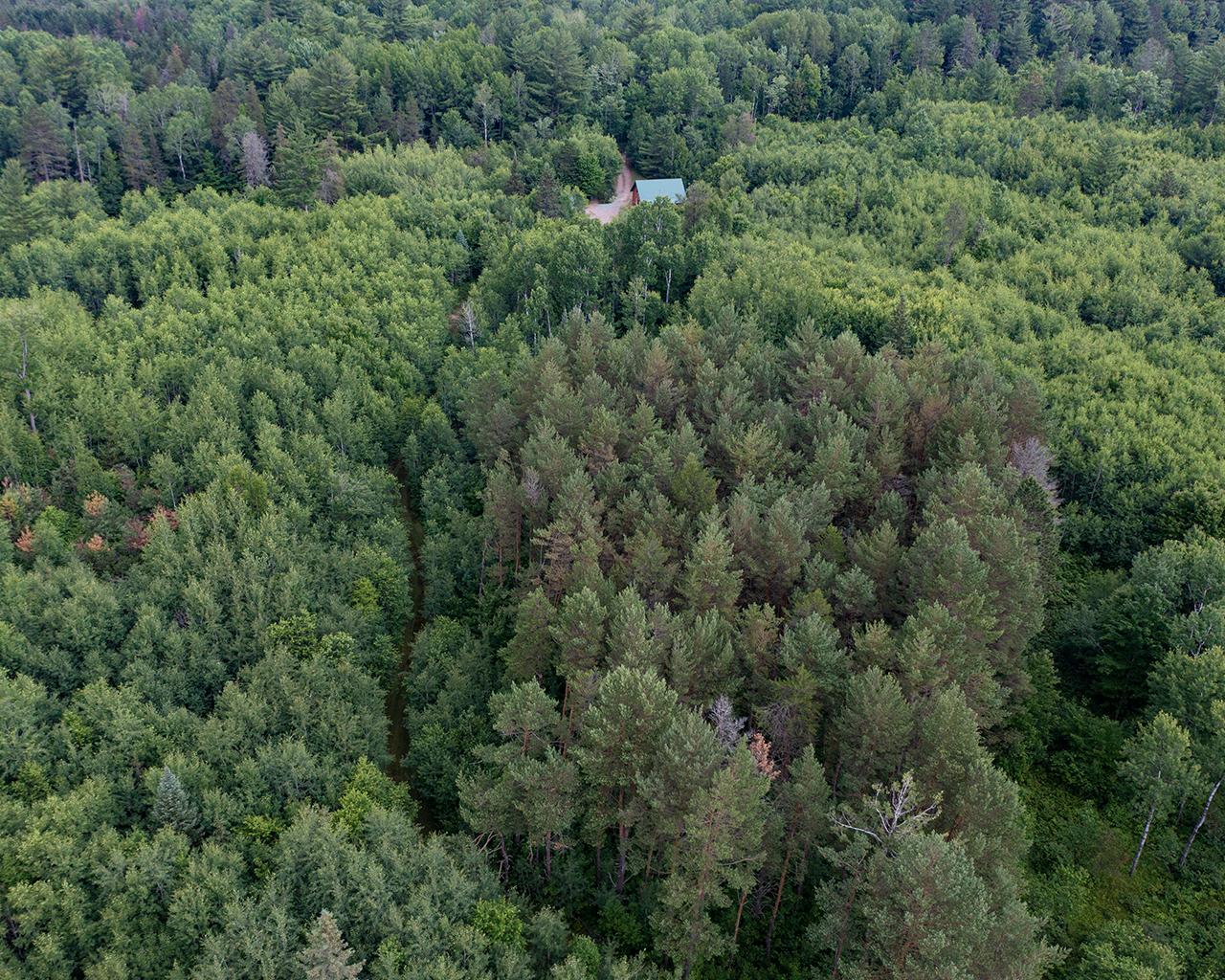 3145 Cross Country Road Rhinelander, WI 54501 - Photo 9 of 32 Gallery Image 9