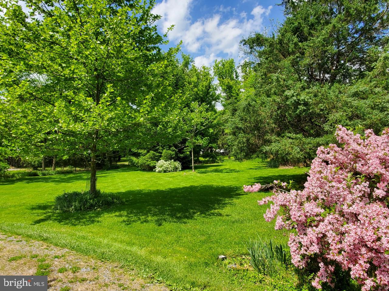 17809 Meeting House Road Sandy Spring, MD 20860 - Photo 6 of 46