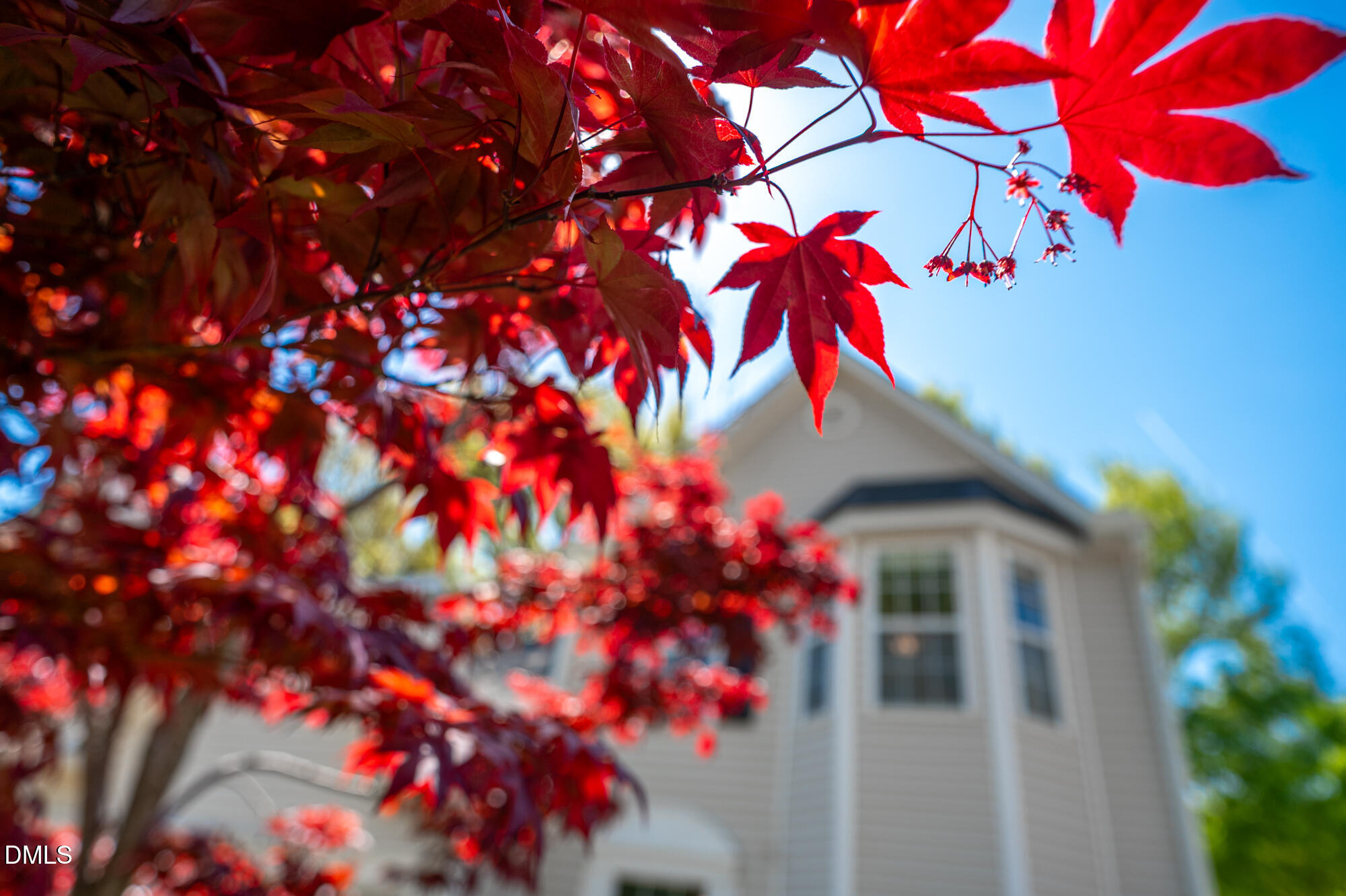 5319 Corinthian Way Raleigh, NC 27607 - Photo 3 of 46 5319CorinthianWay-3