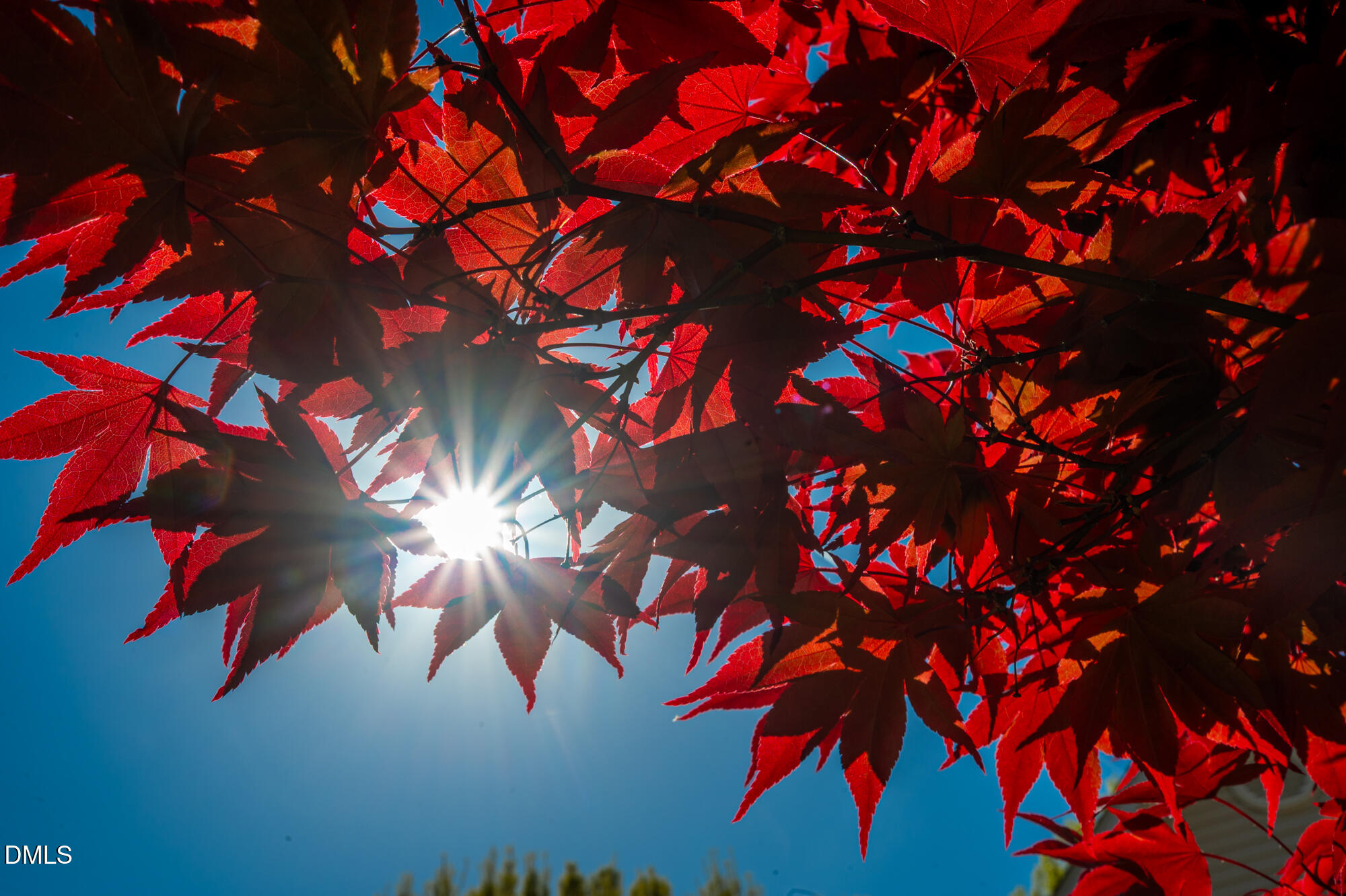 5319 Corinthian Way Raleigh, NC 27607 - Photo 5 of 46 5319CorinthianWay-5