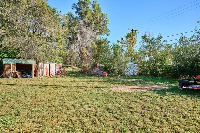 a view of a yard in front of a house with a large tree