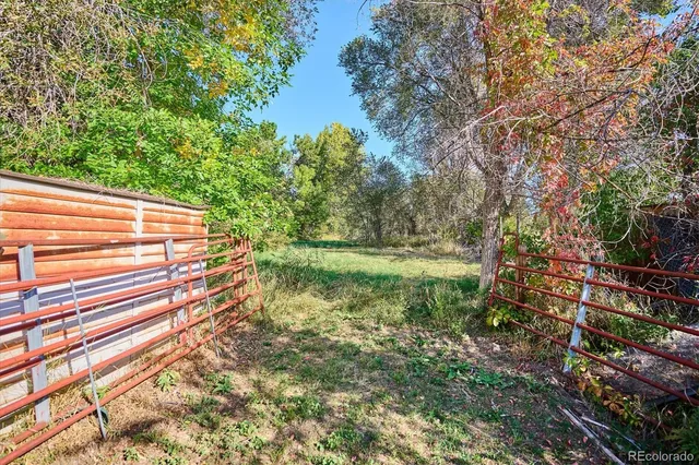a view of a yard with plants and a large tree