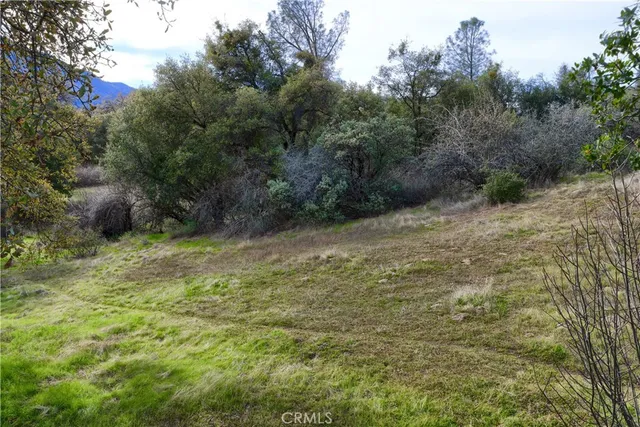 $518,000 | 40740 Road 425A, Oakhurst, CA 93644