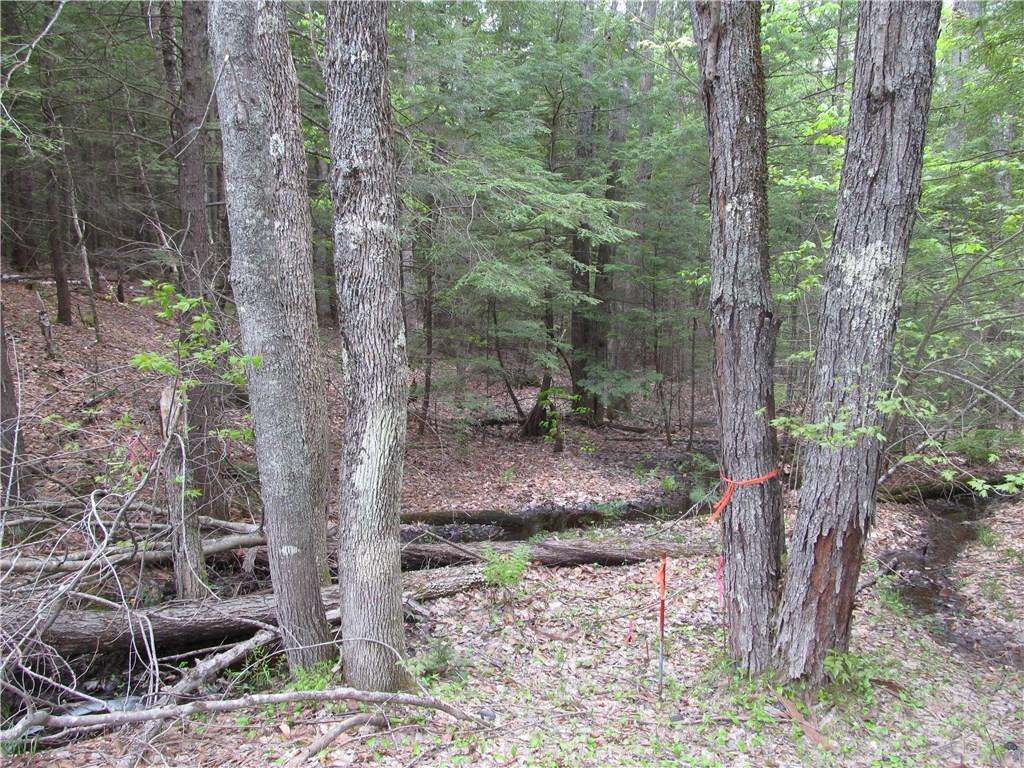 596 Litchfield Road Bowdoin, ME 04287 - Photo 2 of 8 2+ acres to build your new home! ...