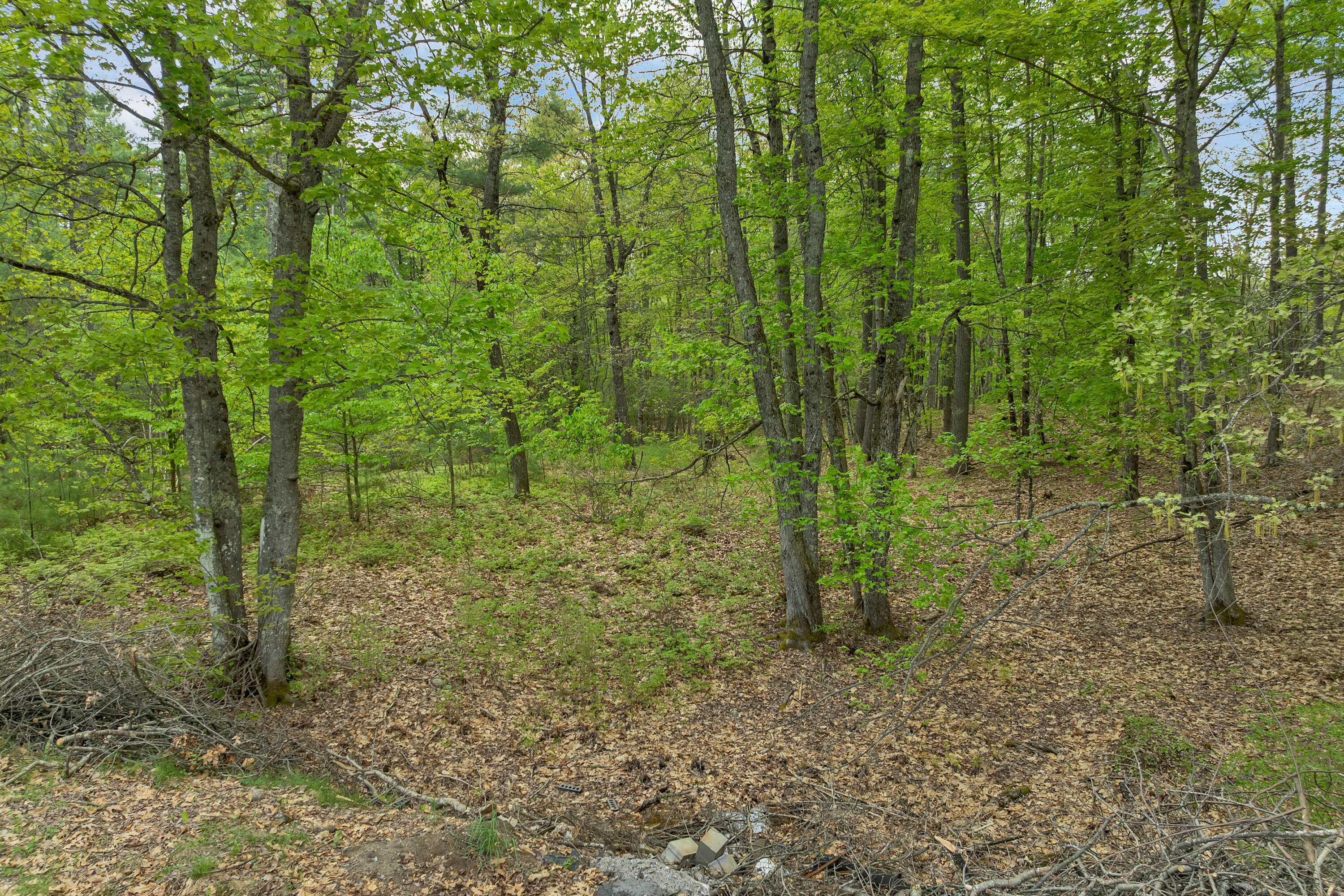1304 Cape Road Hollis Center, ME 04042 - Photo 58 of 64 1304CapeRd-026