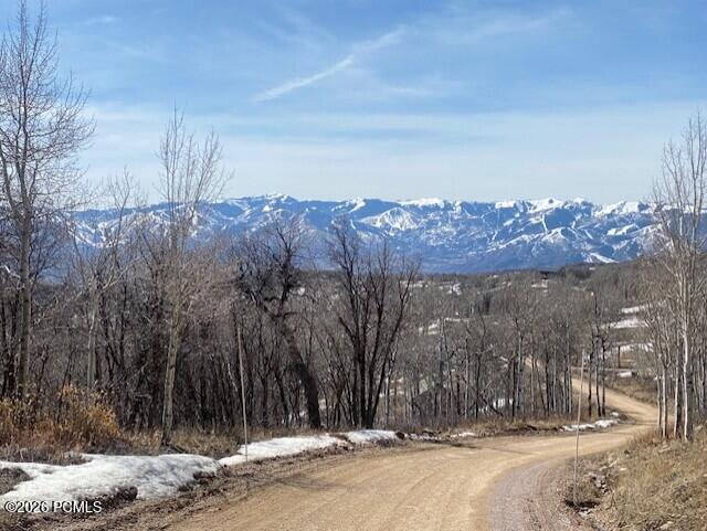 2604 South Forest Meadow Road Coalville, UT 84017 - Photo 11 of 28