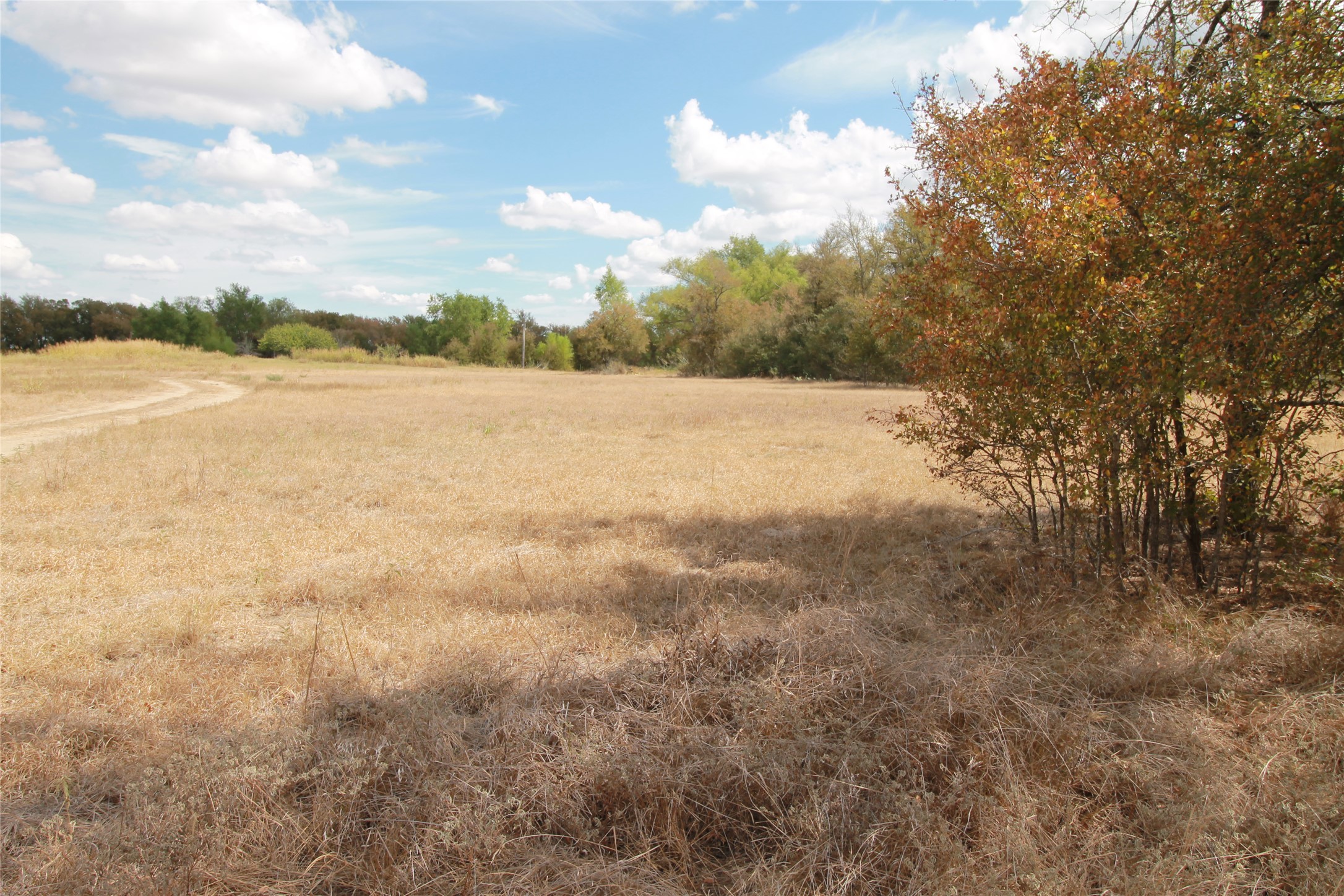 1875 County Road 466 Elgin, TX 78621 - Photo 9 of 11 Hay is cut on property