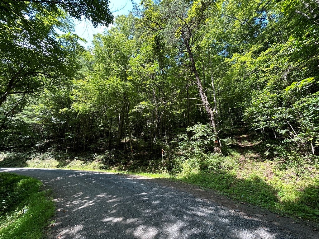Tbd Laurel Fork Road, Unit 52A Dugspur, VA 24325 - Photo 2 of 15 Gallery Image 2