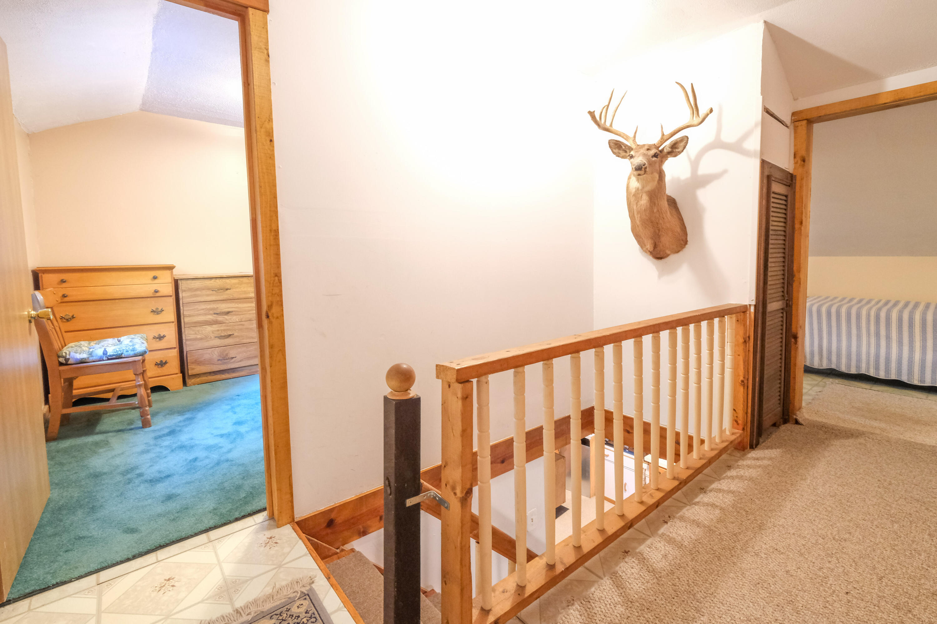 131 Brooks Pond Road Corinna, ME 04928 - Photo 13 of 28 31 Brook Pond-8475