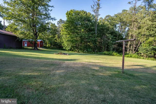 a view of a grassy field with trees