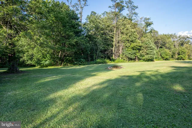 a view of yard with large trees