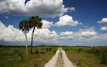 17618 Northwest 286th Street Okeechobee, FL 34972 - Photo 15 of 17 a view of a lake with a yard