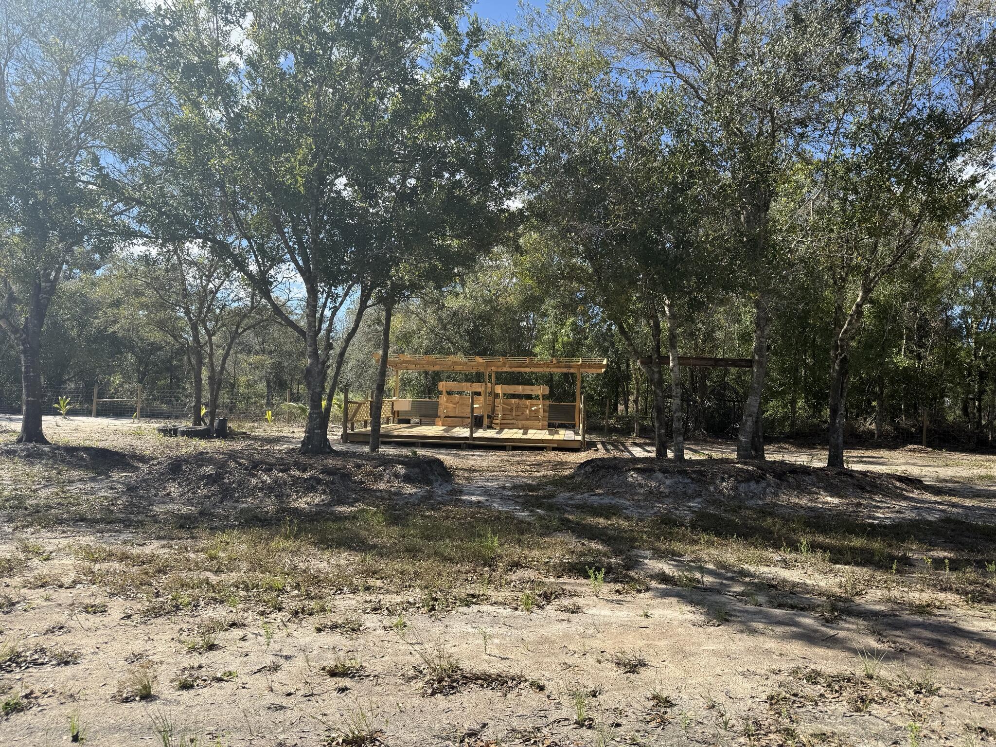 17618 Northwest 286th Street Okeechobee, FL 34972 - Photo 4 of 17 a view of a yard with a tree