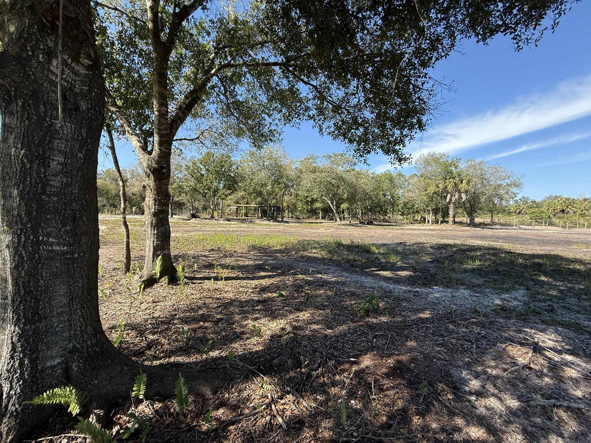 17618 Northwest 286th Street Okeechobee, FL 34972 - Photo 8 of 17 a view of a field with trees