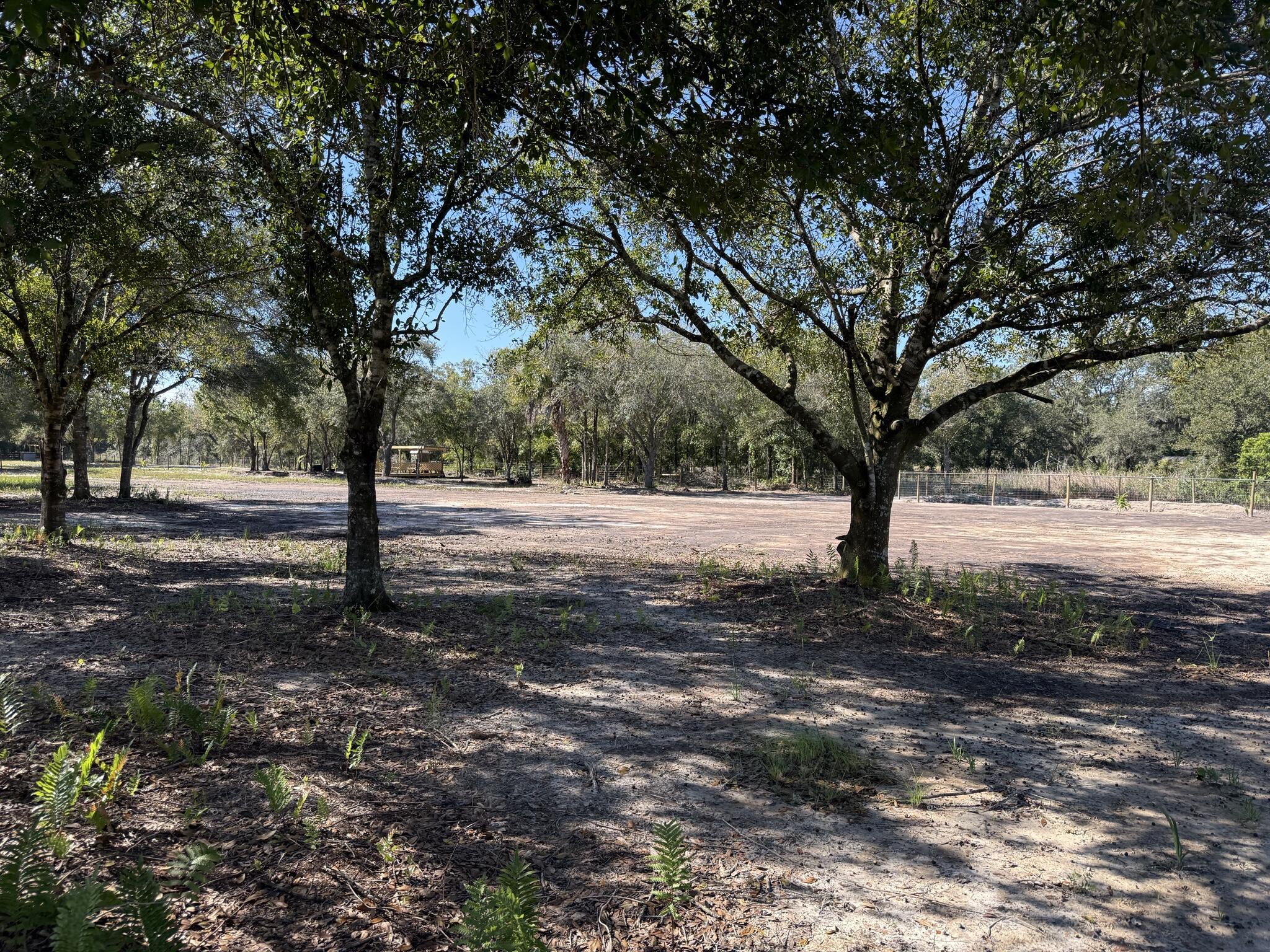 17618 Northwest 286th Street Okeechobee, FL 34972 - Photo 9 of 17 a view of dirt yard with a tree