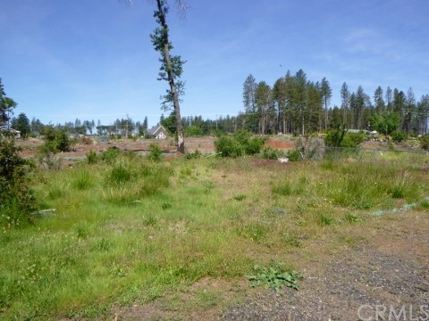 1563 Adams Road Paradise, CA 95969 - Photo 1 of 1 Gallery Image 1