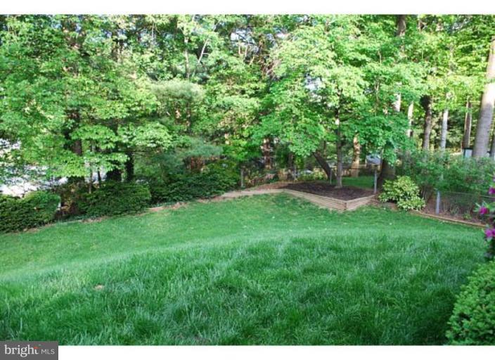 5529 Callander Drive Springfield, VA 22151 - Photo 24 of 30 a view of yard with green space